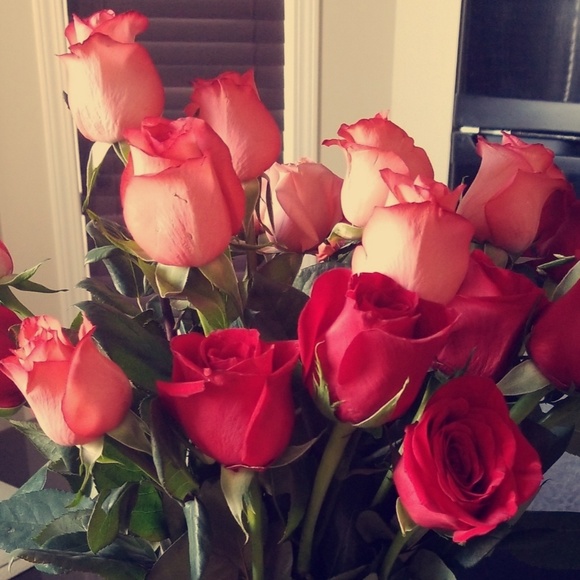 Meet your Posher, Norma - Picture 1 of 1